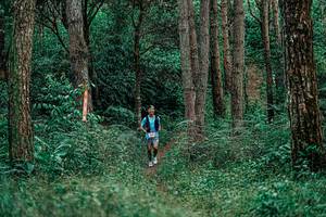 BIB: 
                            <button type="button" onclick="openModal(25236913)" class="btn btn-primary btn-sm float-right btn-popup" data-toggle="modal" data-target=".modal-high-quality">
                        <i class="fas fa-shopping-cart"></i> Add to Cart
                    </button>
                                            <button type="button" onclick="isThisMe(25236913, true)" class="btn btn-success btn-sm float-right btn-popup btn-isme hidden" data-toggle="tooltip" data-placement="bottom" title="นี่คือรูปของคุณใช่ไหม คลิกที่นี่เพื่อเอาเข้าอัลบั้ม">
                        <i class="fas fa-plus"></i> Add to album
                    </button>
                    <button type="button" onclick="isThisMe(25236913, false)" class="btn btn-warning btn-sm float-right btn-popup btn-isnotme hidden">
                        <i class="fas fa-ban"></i> Remove from album
                    </button>